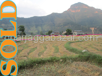 Farm House/Land on Sale at Thansing